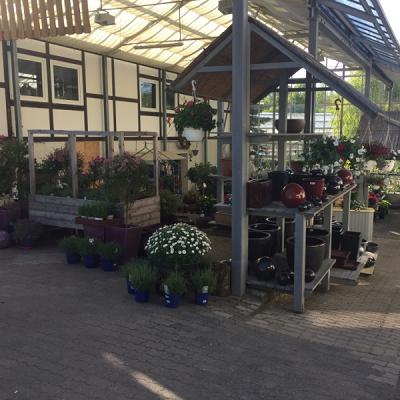 Reineke Blumenhaus & Gartenbau