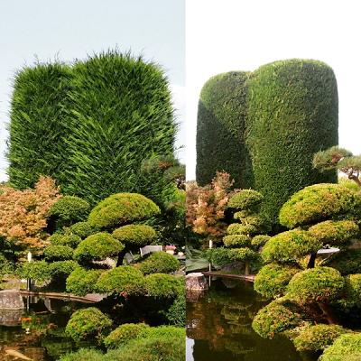 Lars Weege Gartenpflege