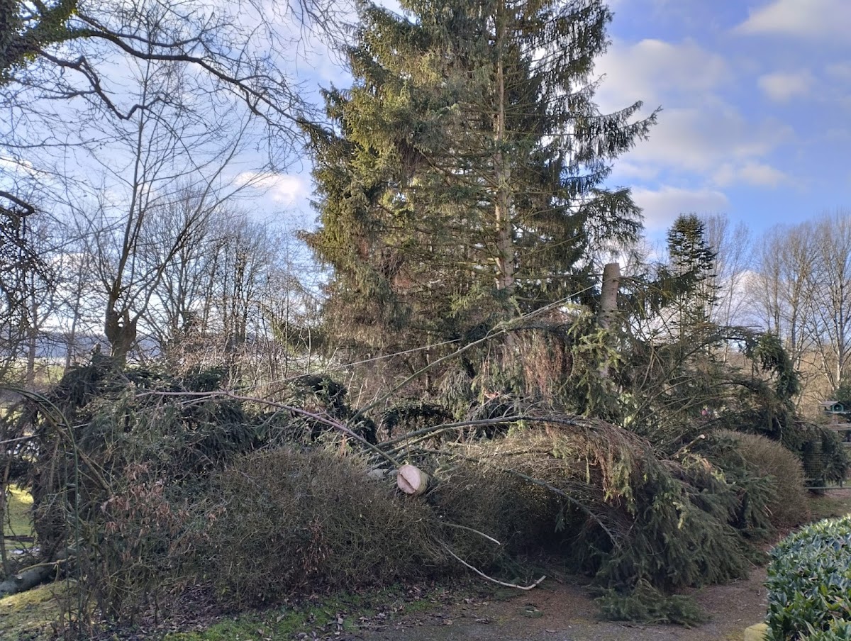 682f2259ccb3d
