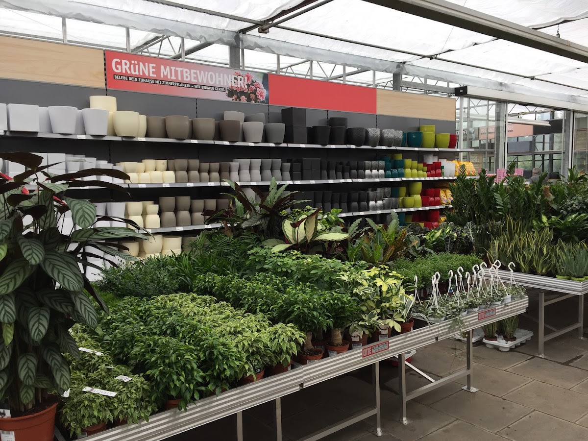 682f226661831
