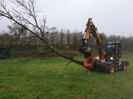 Carlos Beineke Garten /Forst /Miet /Service /Garten Landschaftsbau /Baum arbeiten/ Seilkletterer