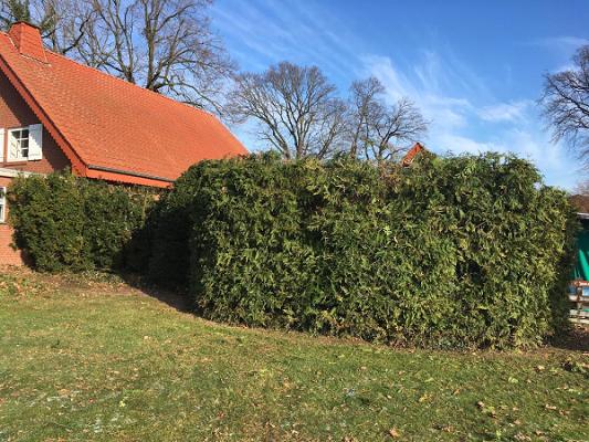 Garten- und Landschaftsbau Andreas Franzsander