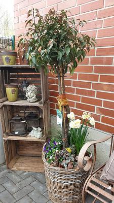 Baumschulen Helfgerdt Delbrück