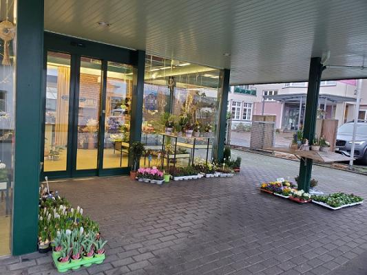 Gärtnerei & Blumen Strunz
