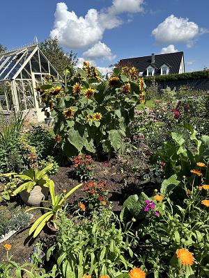 Gartenservice Buntrock