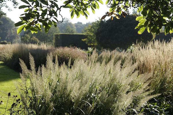 Daniela Toman Dipl.-Ing. (FH) Landschaftsarchitektur