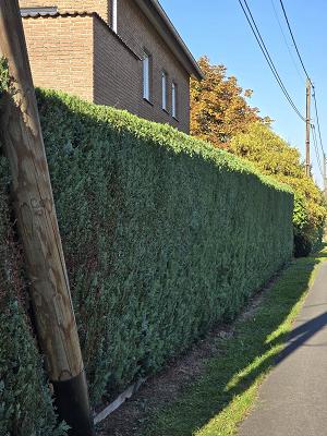 Gartenservicewalter