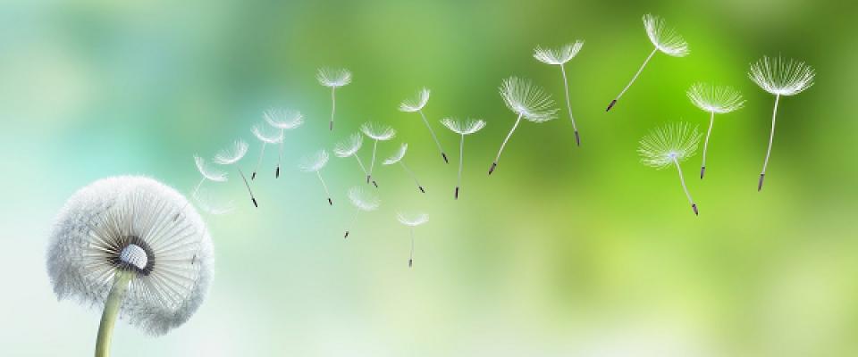 Christian Österwinter