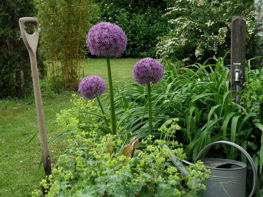 Grünbau Garten- und Landschaftsbau GmbH