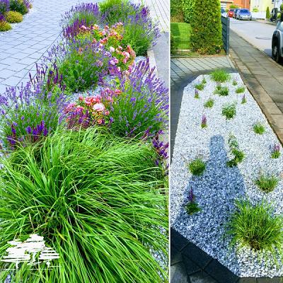 Spitzer Garten- und Landschaftsbau GmbH