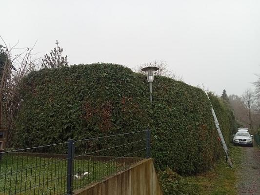 greenwood gartenservice
