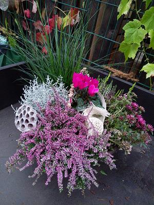 Garten-, Landschafts- & Grabpflege Weigt