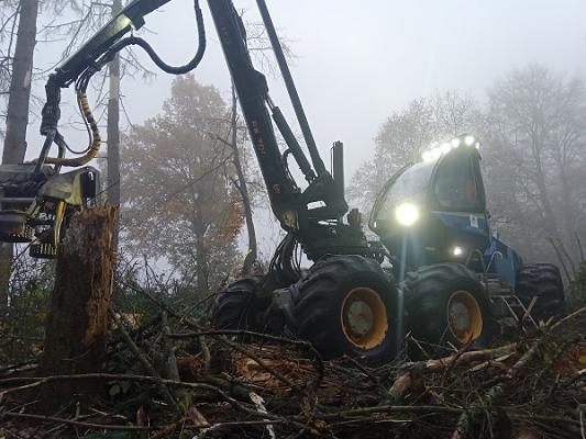 Forstunternehmen - Baggerbetrieb - Landschaftspflege Galke