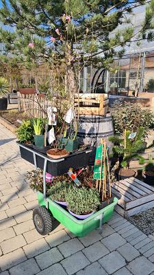 Borgentreicher Baumschulen / Borgentreicher Gartenteam