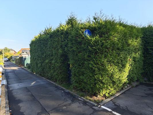 Gartenheld Schwab, Gartenpflege und Objektbetreuung