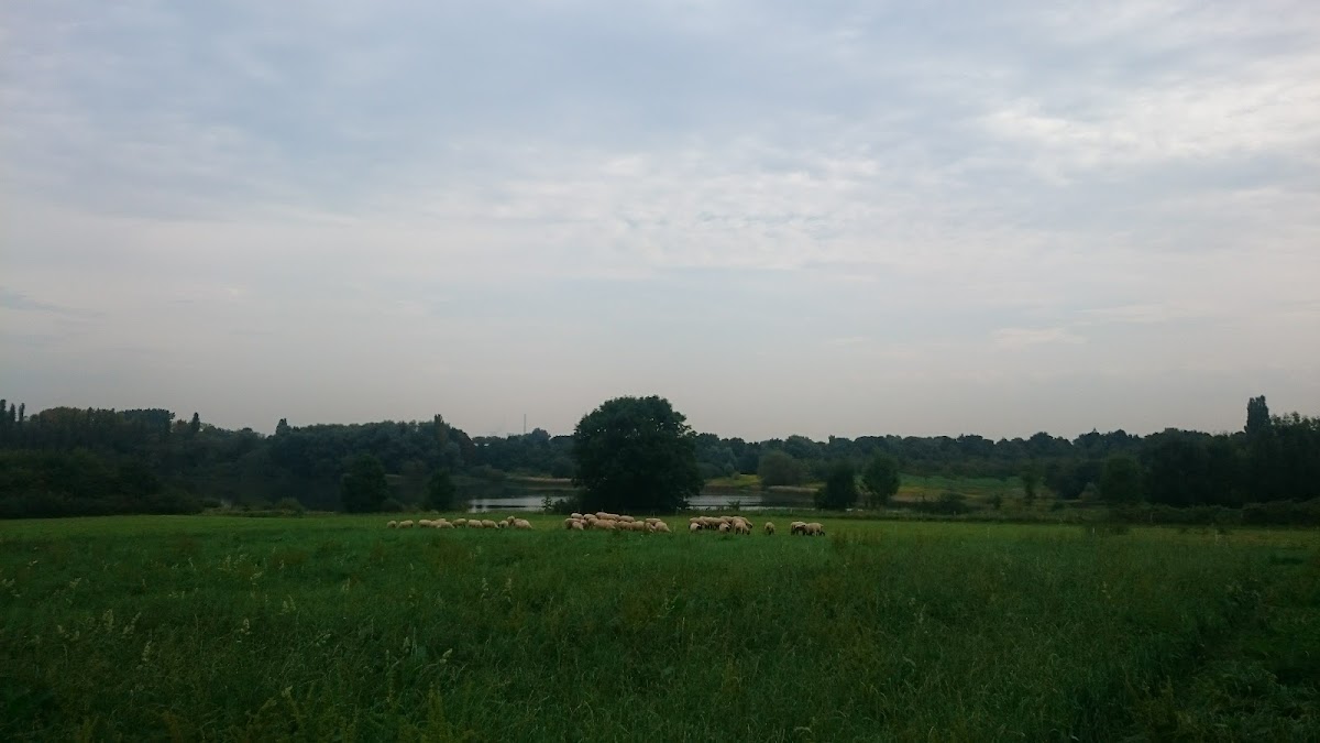 682f25218027d