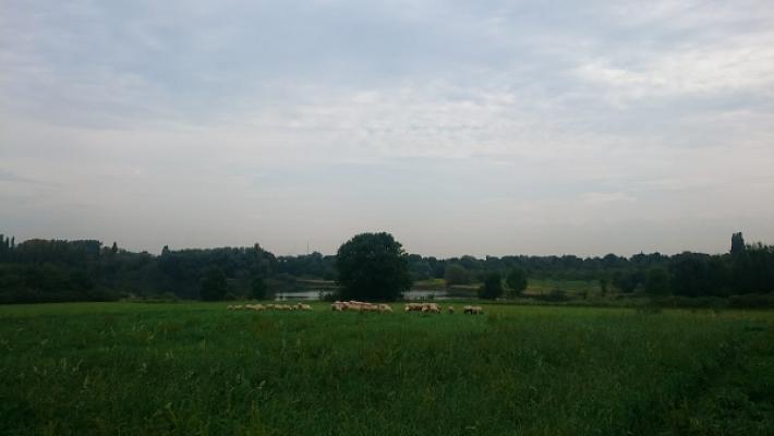 682f25218027d