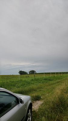 682f2521d454d