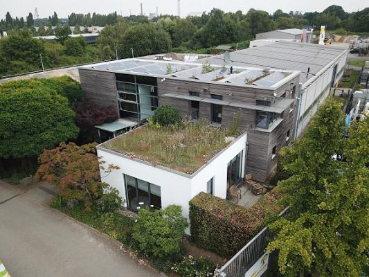 Tewes-Kampelmann Garten- und Landschaftsbau GmbH