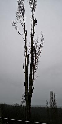 Gartenpflege & Baumfällung Nura