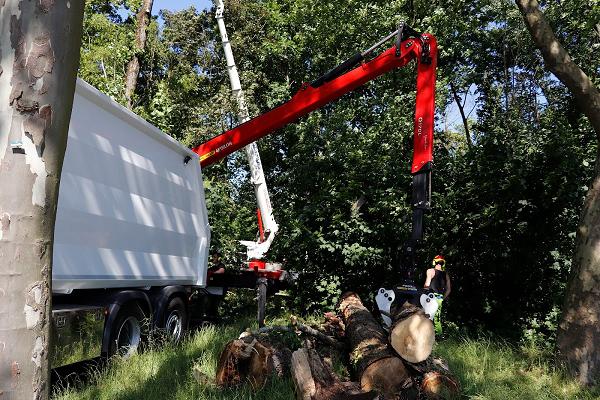 Baumdienst Menke GmbH & Co. KG