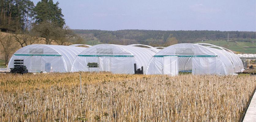 H. Nitsch & Sohn GmbH & Co. KG
