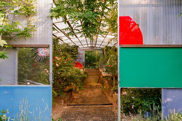 wald.farm | Baumpflege, Permakultur-Design und mehr in Bad Berleburg und Umgebung