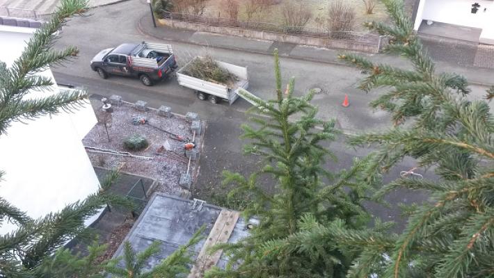 Stefan Peter Gartenbau