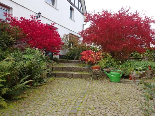 Frank Münker – kreativer Garten- und Landschaftsbau