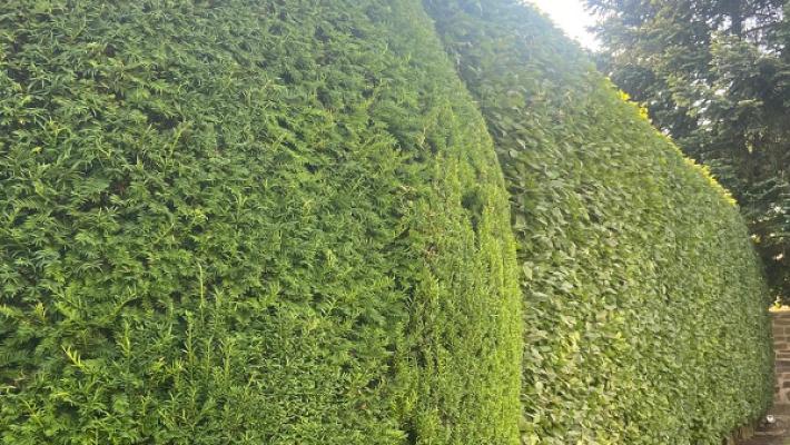 Haus und Gartenservice Ogur