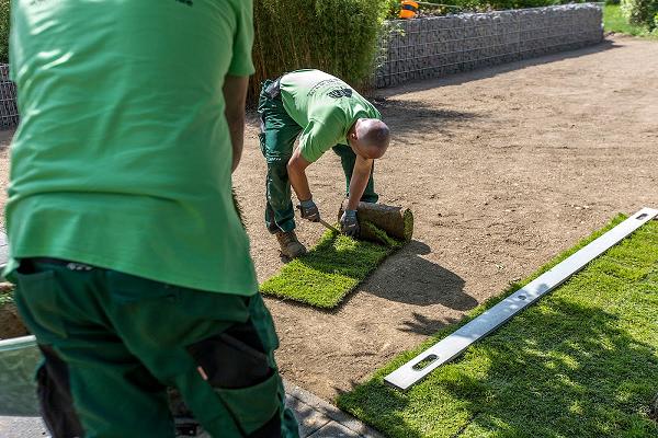 DB Haus- und Gartenservice Attendorn