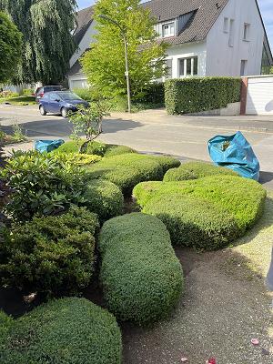 K.A Baumdienst & Gartenservice UG - Baumfällungen, Baumpflege und Gartenarbeiten