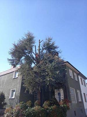 682f27922d853