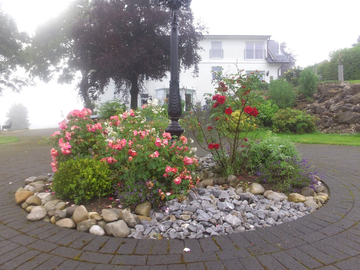 682f27aae3c8f