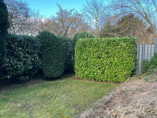 Arboris Gartenpflege GbR
