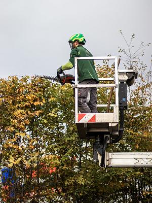 Merfeld Grünpflege GmbH
