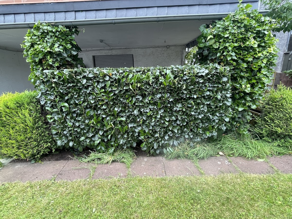 682f2828100af