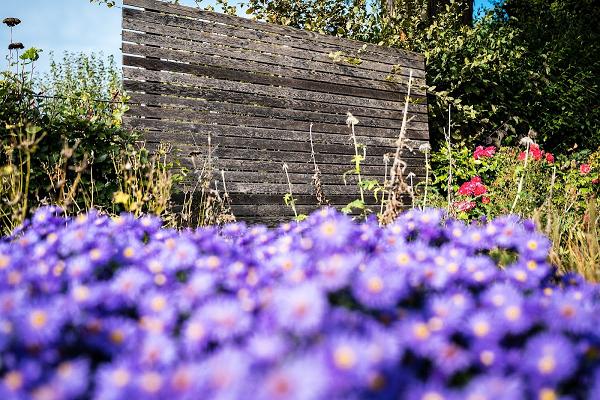 Borgmeier Garten- u. Landschaftsbau GmbH