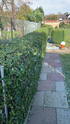 GS Gartenbau