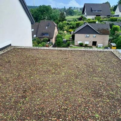 Landschafts Schmiede UG