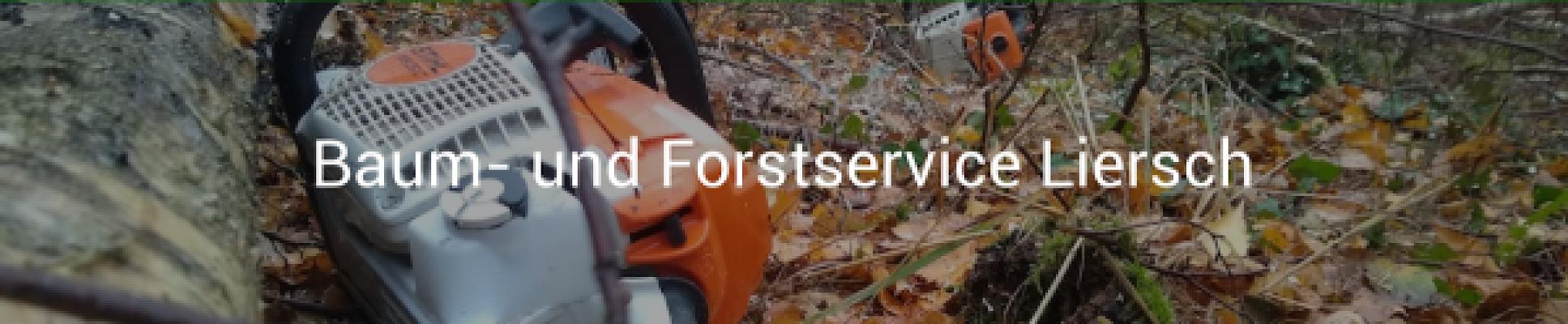 Baum- und Forstservice Liersch