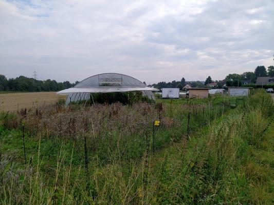 Gartengemüse Hevener Feld GbR