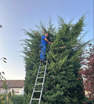 Gartenpflege Kastrati Heilbronn
