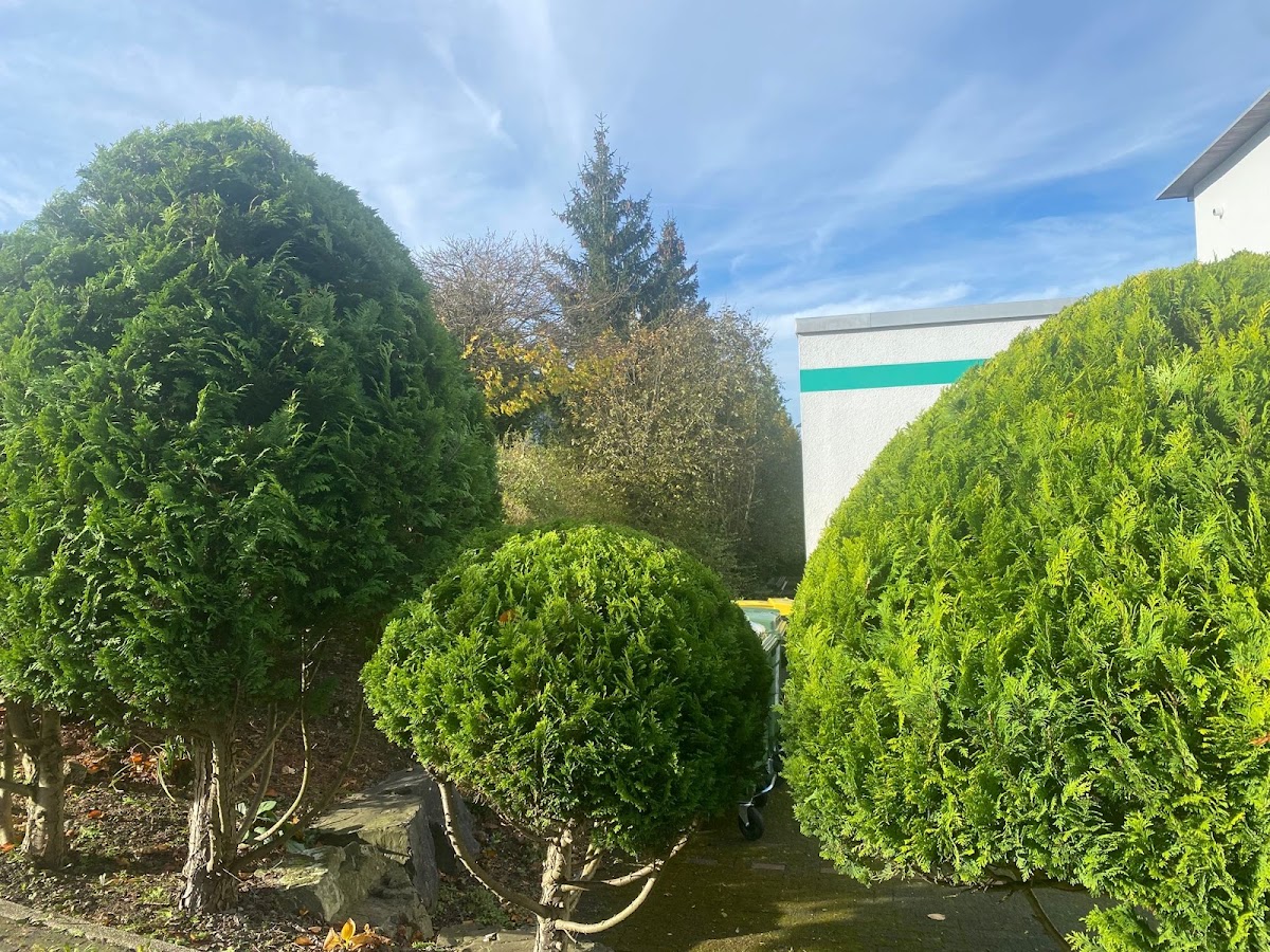 682f288548746