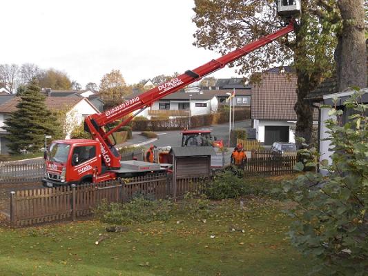 Andreas Koch - Gartenbau und Landschaftspflege