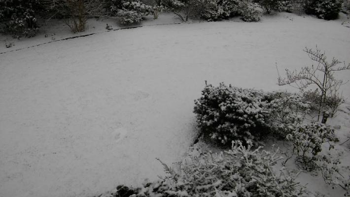 Bluemel Lars Garten- und Landschaftsbau