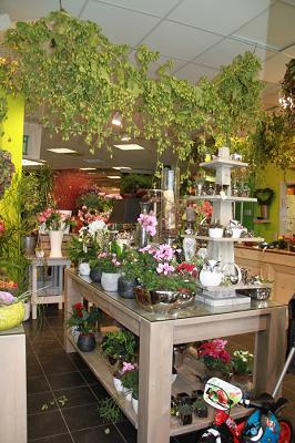 Blumen Schepper - Hemer