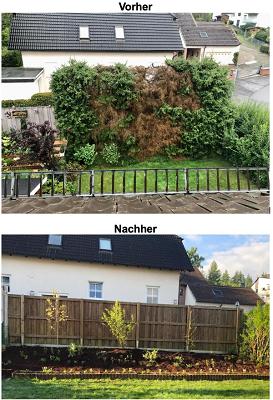 Forstbetrieb Busemann, Baumpflege, Baumfällung und Grundstückspflege