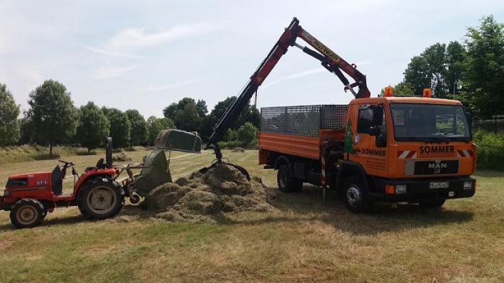 Sommer Garten und Landschaftspflege