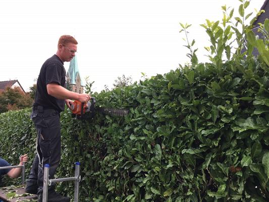Andre Wiggers Baum,-Garten und Objektpflege
